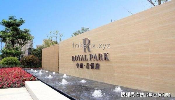 如何优化【登陆少年】2025 TOP登陆少年组合·无所畏计划·演唱会Day1·苏新皓个人直拍观看体验