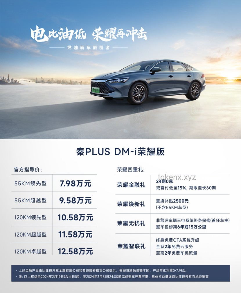 **比亚迪“绝招”出击：市场压力下的价格战策略对比**