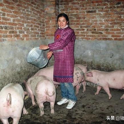 第三波救市政策与前两轮对比