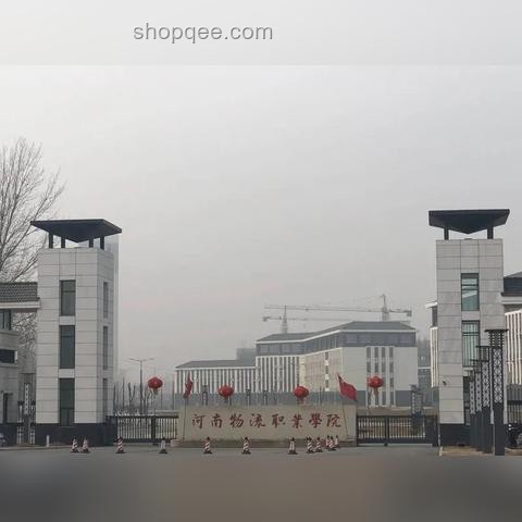 河南物流港爆炸谣言案例研究