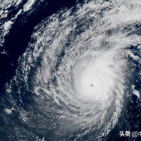 今年第1号台风“蝴蝶”生成深度分析