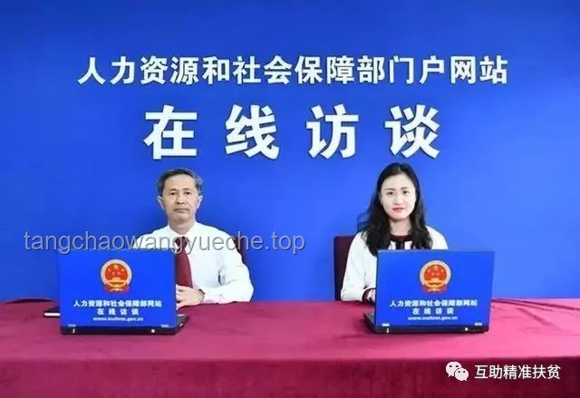茅台集团如何坚决拥护并执行中央和省委部署的实用指南