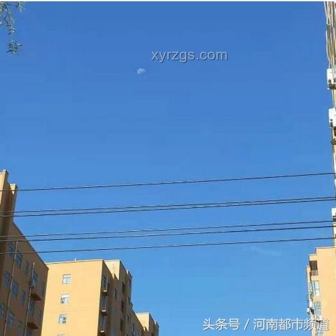 日月同辉的震撼瞬间：一次难忘的天文奇观之旅✨