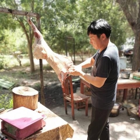 爬山时西瓜的惊喜：户外野餐新乐趣