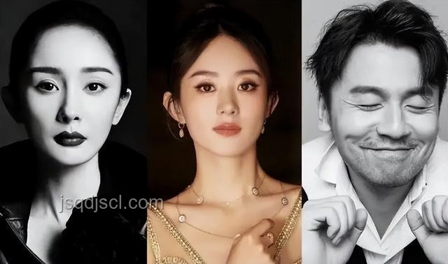 章子怡主演《酱园弄》：大女主与大男主的交织叙事